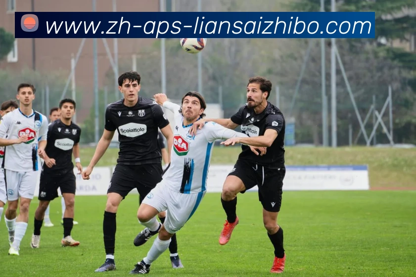 五大联赛直播品牌故事