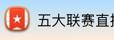 五大联赛直播 logo
